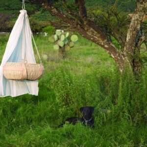 Moisés Nido Colgante